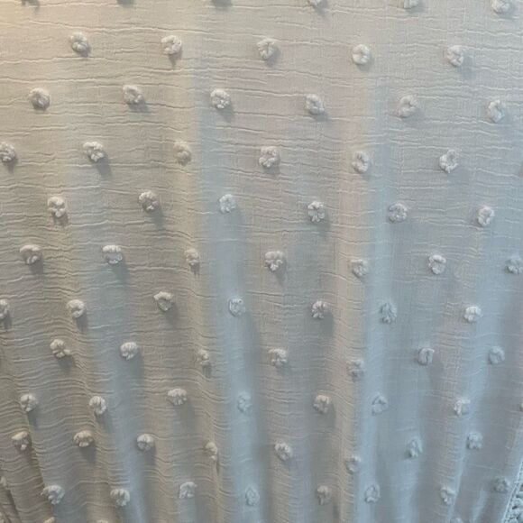 Privy Cropped Lace Blouse Cream Sheer Swiss Dots V-Neck Smocked Long Sleeve S - Picture 5 of 8